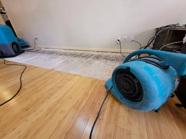 Professional Water Damage Repair technician working in Lebanon, OH